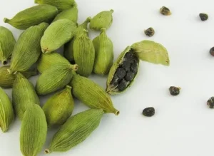 मोटापा कैसे कम करें 