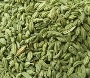 मोटापा कैसे कम करें 