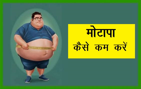  मोटापा कैसे कम करें 